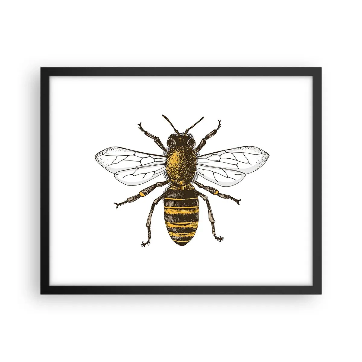 Affiche dans un cadre noir - Poster - Belle et bonne - 50x40 cm