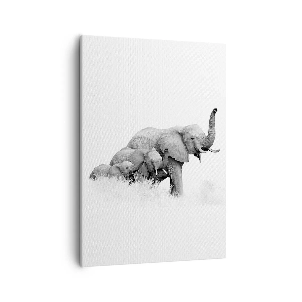 Impression sur toile - Image sur toile - Une famille d'éléphants sur fond de paysage africain en noir et blanc. - 50x70cm - Un, deux, trois - Décoration murale moderne pour le salon et la chambre ARTTOR