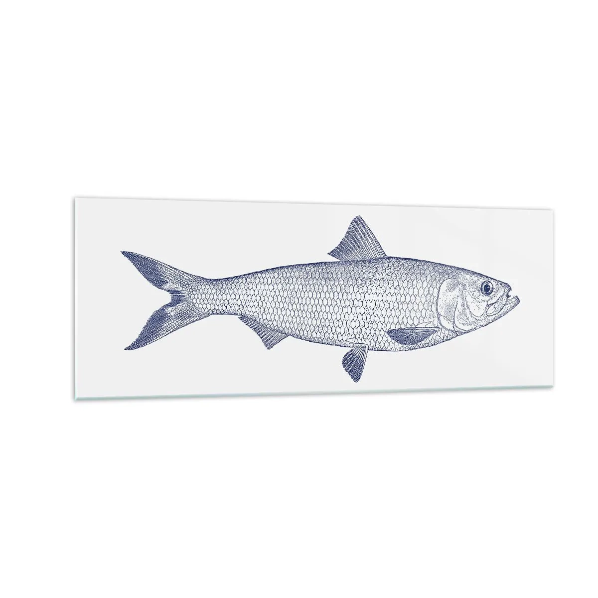 Impression sur verre - Image sur verre - Illustration d'un poisson dans des tons de bleu sur fond clair - 140x50cm - Salutations des mers du nord - Décoration murale moderne pour le salon et la chambre ARTTOR