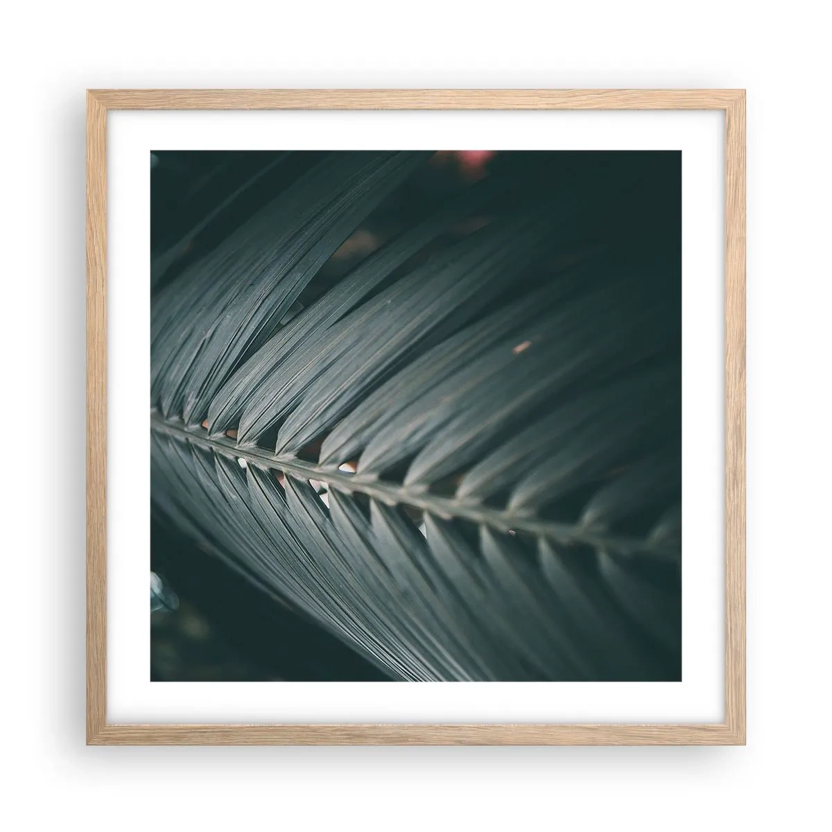 Affiche dans un chêne clair - Poster - Précision de la nature - 50x50 cm