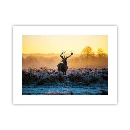 Affiche - Poster - Couronné pour sa succession - 40x30 cm