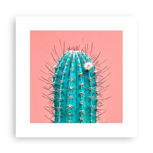 Affiche - Poster - Juste regarde - 30x30 cm