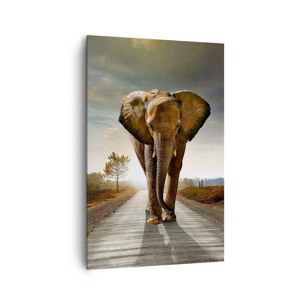 Impression sur toile - Image sur toile - Un éléphant marchant le long d'une route à travers un paysage au coucher du soleil - 80x120cm - Et pas du tout en porcelaine - Décoration murale moderne pour le salon et la chambre ARTTOR