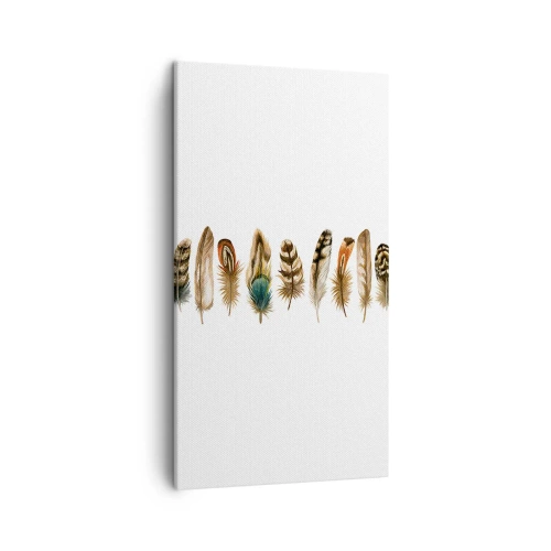 Impression sur toile - Image sur toile - Variation à plumes - 45x80 cm