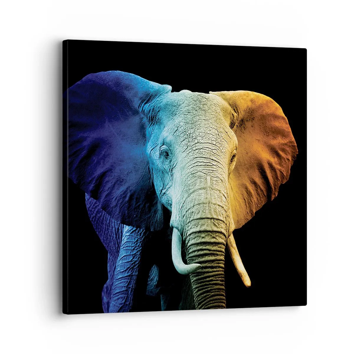 Impression sur toile - Image sur toile - Excentrique, pas bizarre - 30x30 cm