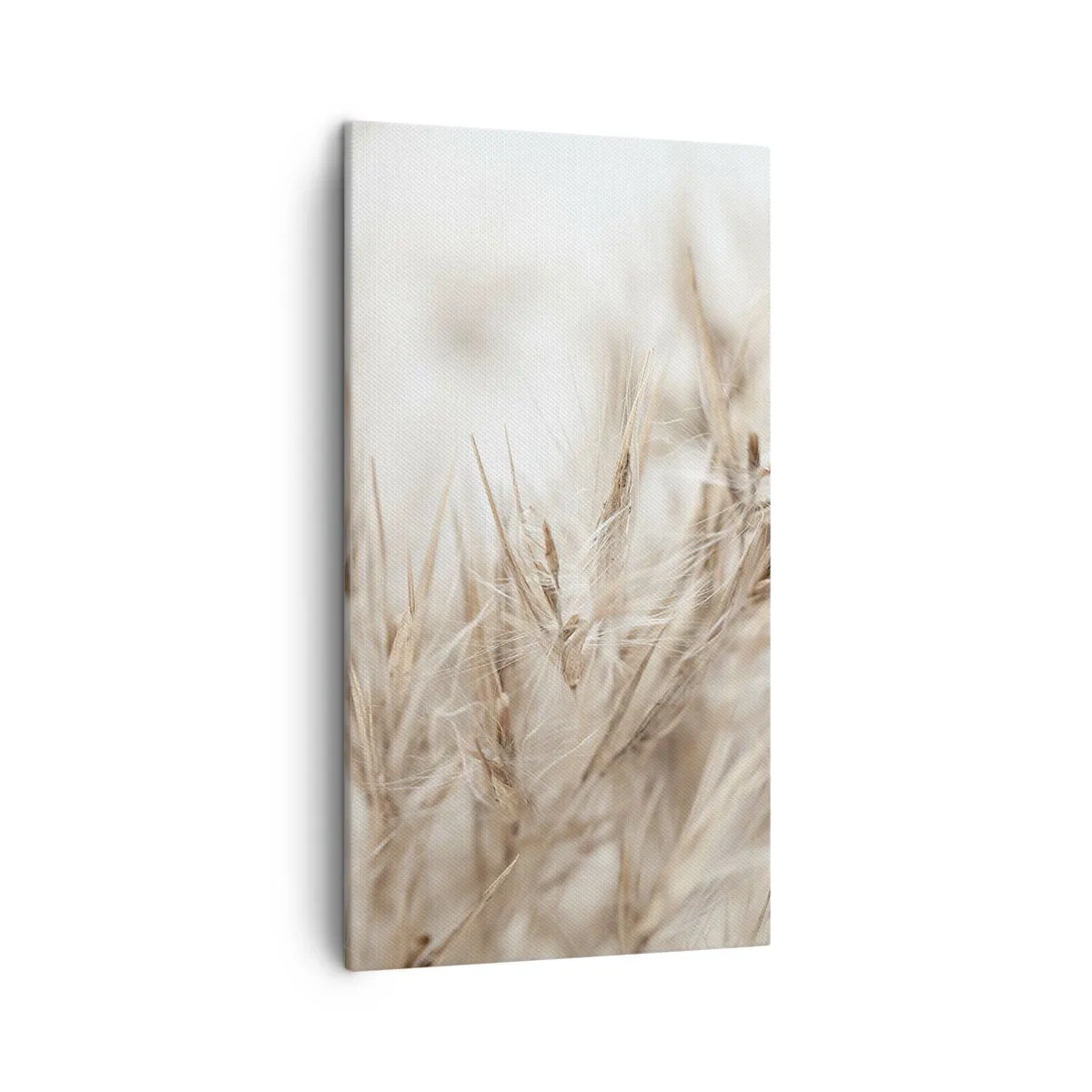 Impression sur toile - Image sur toile - Prairie et vent - 45x80 cm