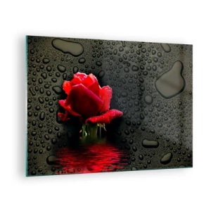Impression sur verre - Image sur verre - Rose rouge avec des gouttes d'eau sur un fond sombre - 70x50cm - Rouge et noir - Décoration murale moderne pour le salon et la chambre ARTTOR