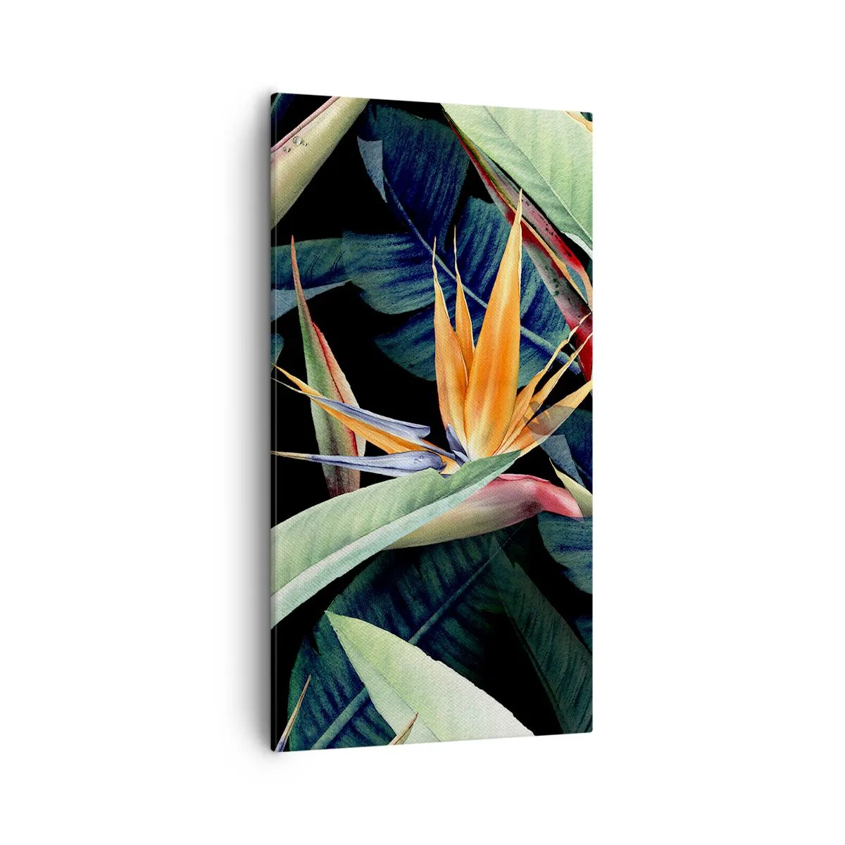 Impression sur toile - Image sur toile - Fleurs flamboyantes des tropiques - 55x100 cm