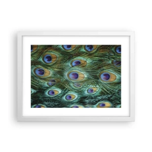 Affiche dans un cadre blanc - Poster - Un regard de paon - 40x30 cm