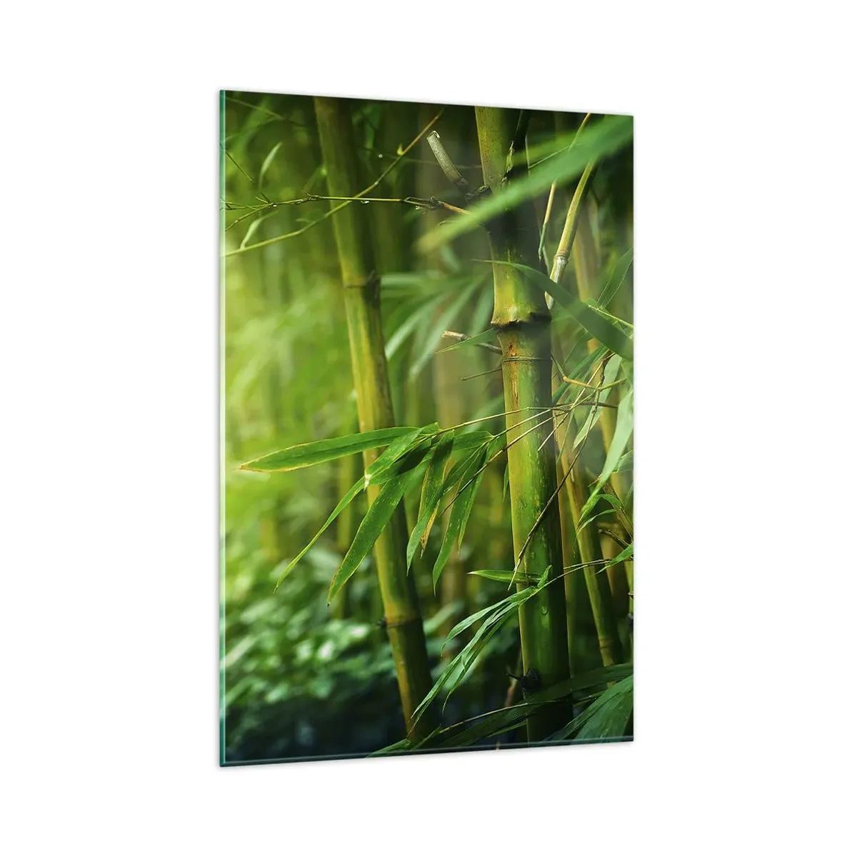 Impression sur verre - Image sur verre - Forêt de bambous verts dans une lumière douce - 80x120cm - Apprenez à connaître le vert lui-même - Décoration murale moderne pour le salon et la chambre ARTTOR