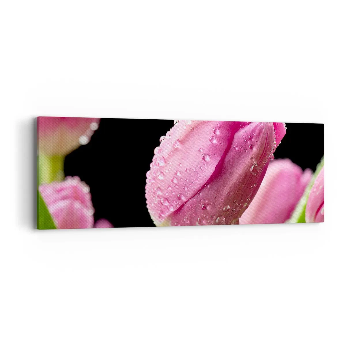 Impression sur toile - Image sur toile - Rêve de lilas dans la rosée - 90x30 cm