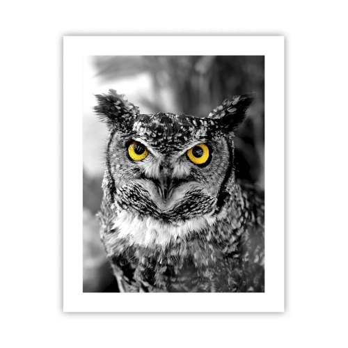 Affiche - Poster - Rien ne se cachera - 40x50 cm