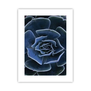 Affiche - Poster - Fleur du désert - 30x40 cm