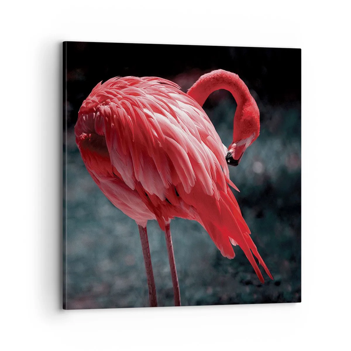 Impression sur toile - Image sur toile - Poème cramoisi de la nature - 70x70 cm