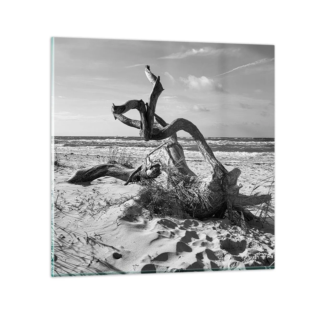 Impression sur verre - Image sur verre - Sculpture marine - 30x30 cm