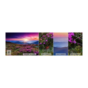 Échantillon de Papier Peint Premium Sand - Les herbes sentaient les grappes fraîches de la récolte - Paysage, Montagnes, Fleurs - 100x30 cm