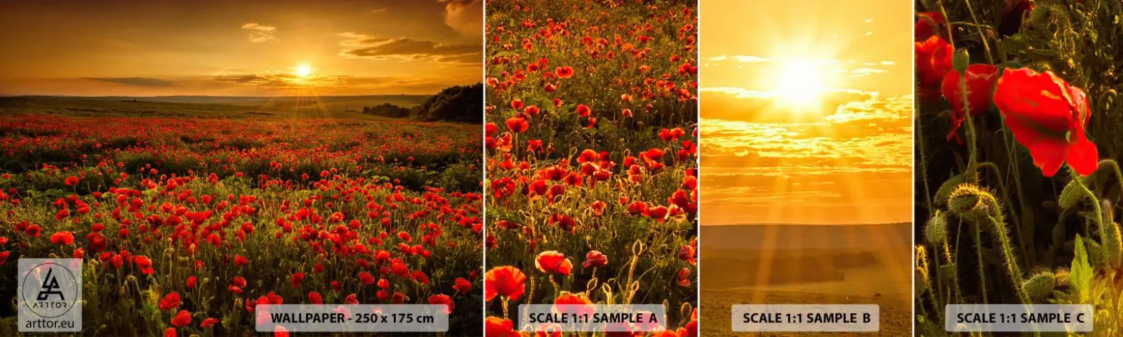 Échantillon De Papier Peint Standard Eco - Parmi les vagues des prairies bruissantes, parmi les fleurs du déluge - Paysage, Fleurs, Coquelicots - 100x30 cm