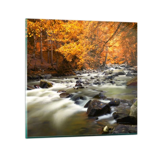 Impression sur verre - Image sur verre - Un ruisseau dans une forêt dorée - 50x50 cm