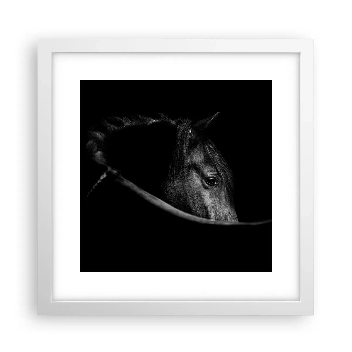 Affiche dans un cadre blanc - Poster - Prince Noir - 30x30 cm