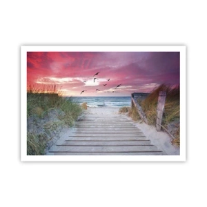 Affiche - Poster - Chemin en bois sur la plage au coucher du soleil rose - 100x70cm - Impression de la Baltique - Décoration murale moderne pour le salon et la chambre ARTTOR