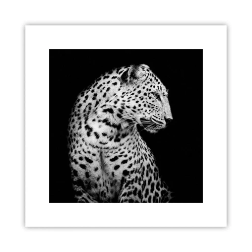 Affiche - Poster - Presque un profil parfait! - 30x30 cm