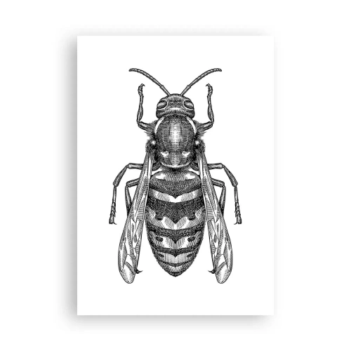 Affiche - Poster - D'une planète d'insectes - 70x100 cm