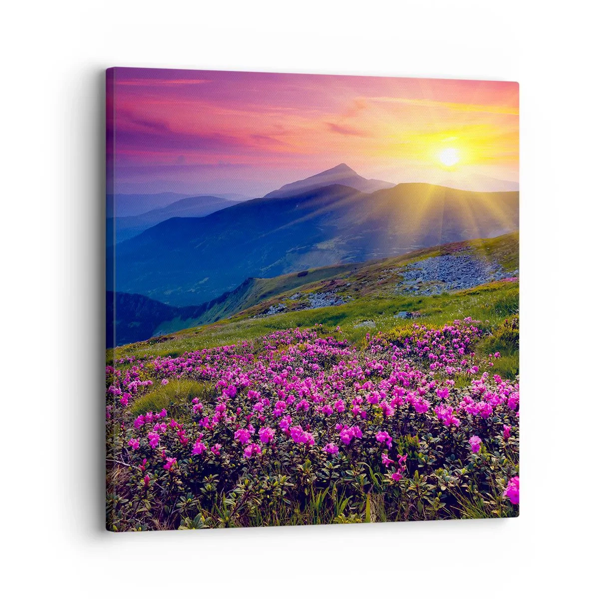 Impression sur toile - Image sur toile - … Et autour, ça sent le pin des montagnes et l'odeur de la prairie - 30x30 cm