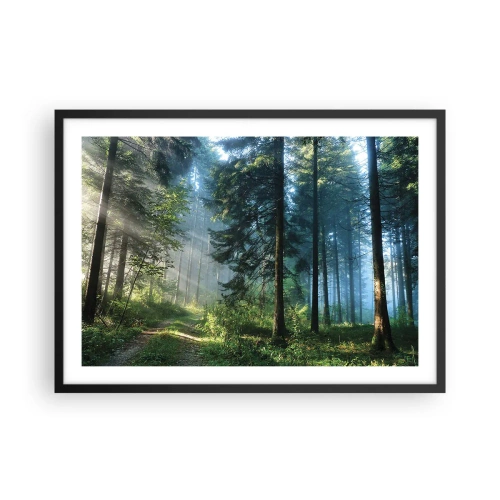 Affiche dans un cadre noir - Poster - Un chemin forestier illuminé par les rayons du soleil du matin - 70x50cm - Rayonnant le matin - Décoration murale moderne pour le salon et la chambre ARTTOR