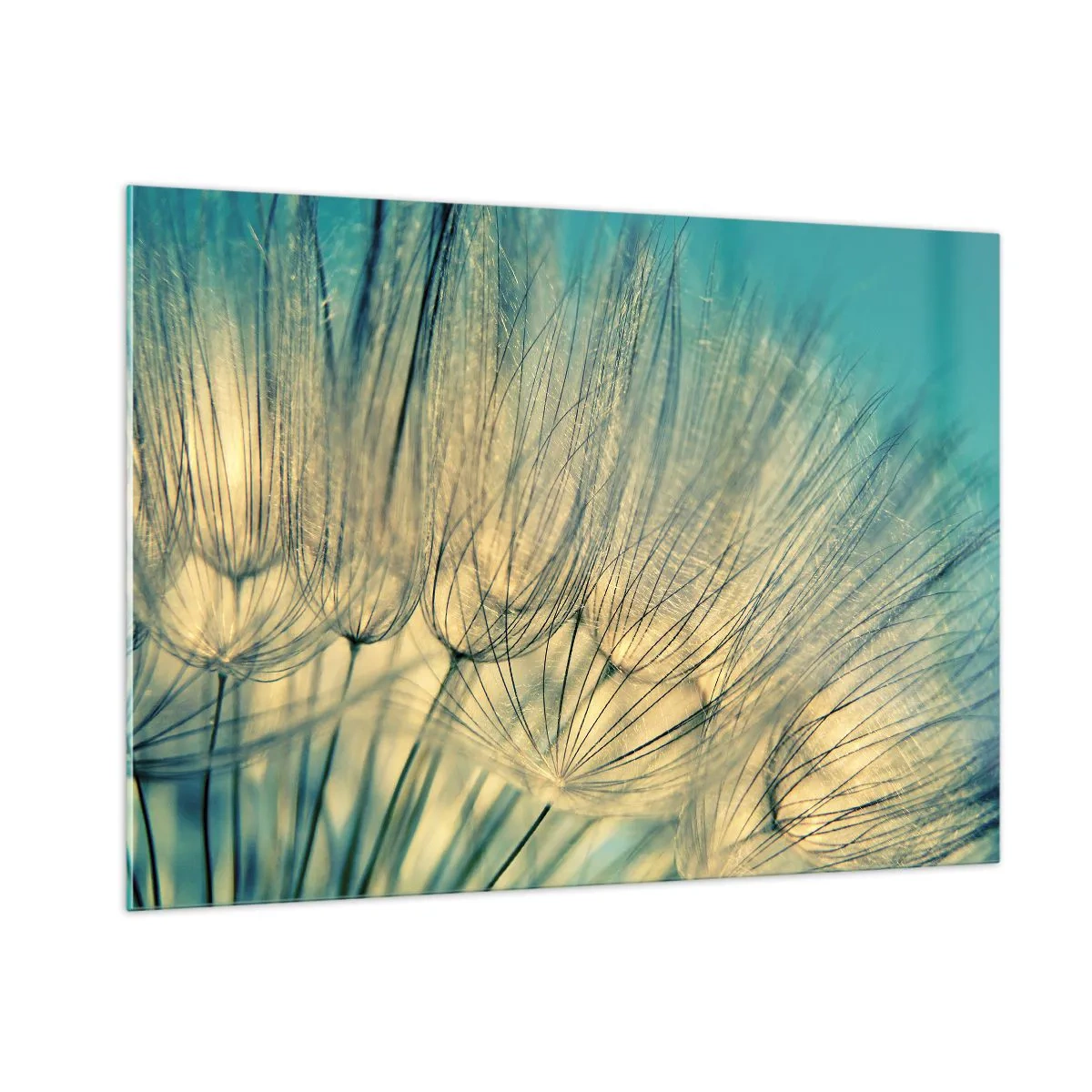 Impression sur verre - Image sur verre - Macrophotographie d'un pissenlit sur fond turquoise - 100x70cm - En attente du vent - Décoration murale moderne pour le salon et la chambre ARTTOR