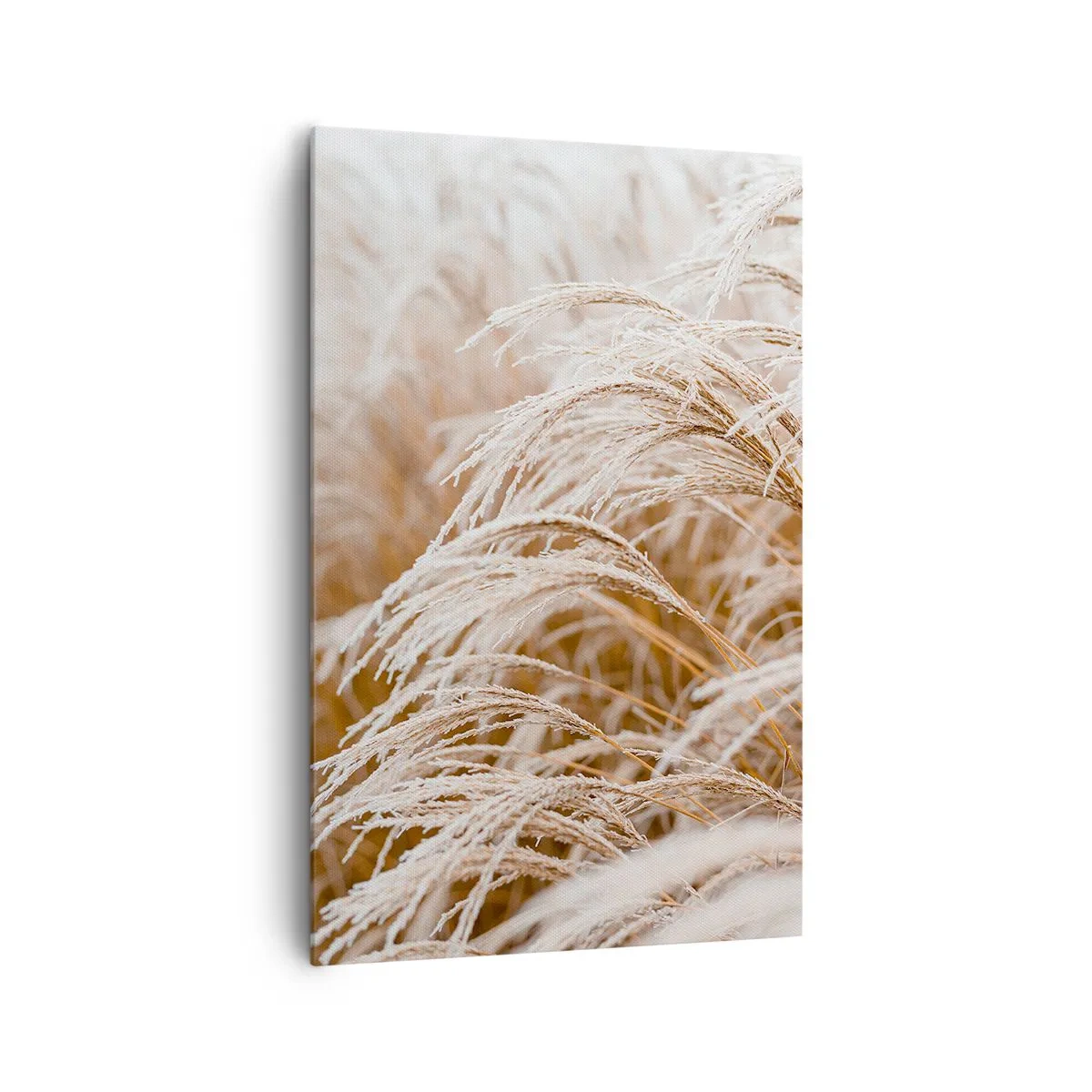 Impression sur toile - Image sur toile - Prosternez-vous devant le soleil d'automne - 80x120 cm