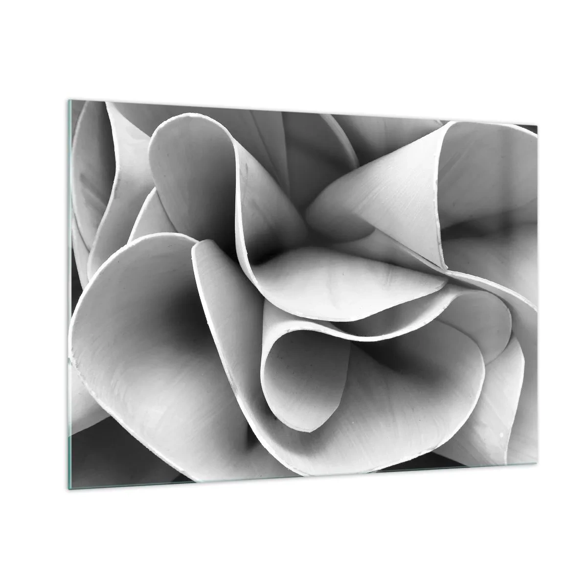 Impression sur verre - Image sur verre - Gros plan noir et blanc de formes spirales abstraites - 100x70cm - Il s'en passe dans l'espace - Décoration murale moderne pour le salon et la chambre ARTTOR