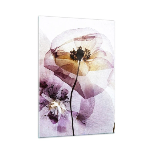 Impression sur verre - Image sur verre - Fleurs délicates aux couleurs pastel transparentes sur fond clair - 50x70cm - Corps de fleurs transparente - Décoration murale moderne pour le salon et la chambre ARTTOR