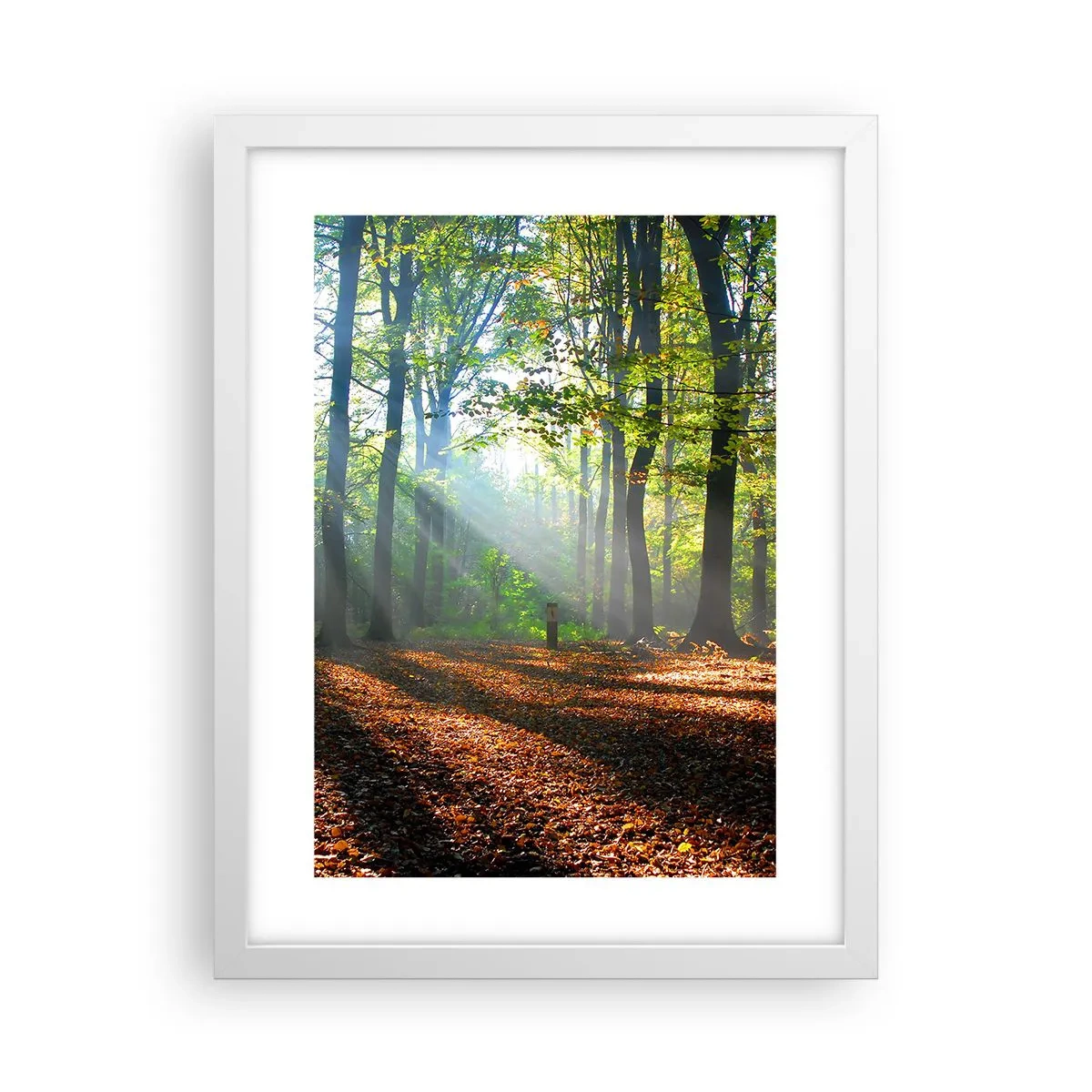 Affiche dans un cadre blanc - Poster - Ombres et lumières - 30x40 cm