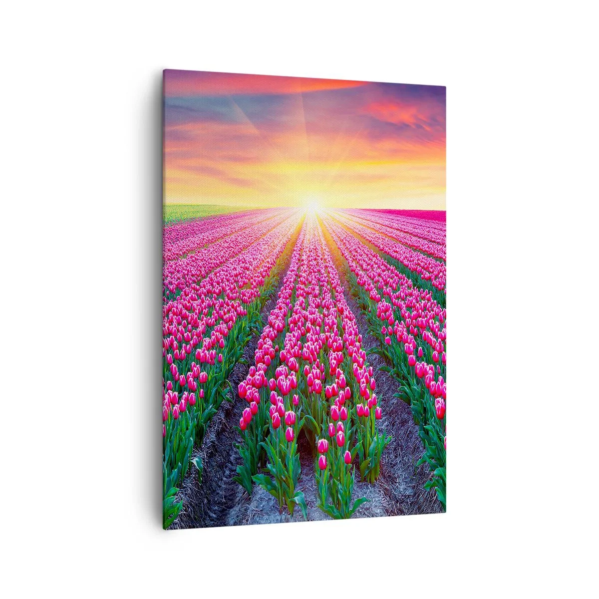Impression sur toile - Image sur toile - Un champ de tulipes au coucher du soleil - 70x100cm - Ferme de la beauté - Décoration murale moderne pour le salon et la chambre ARTTOR
