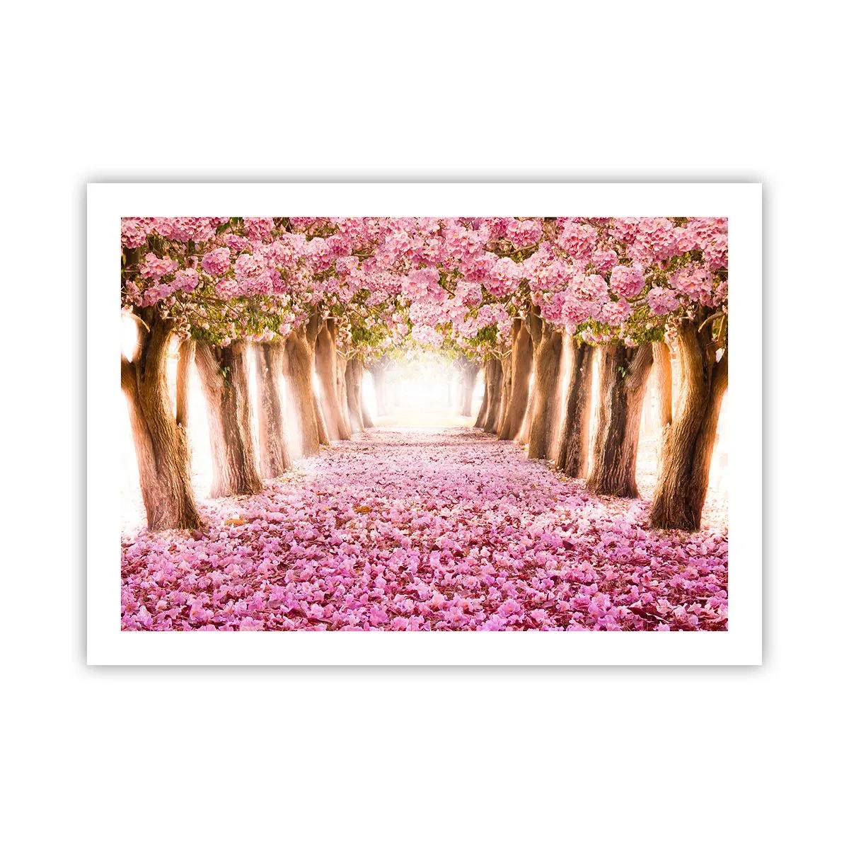 Affiche - Poster - La route du paradis - 70x50 cm