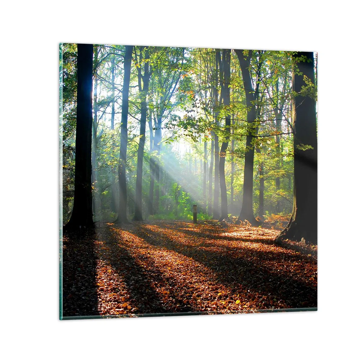 Impression sur verre - Image sur verre - Ombres et lumières - 40x40 cm