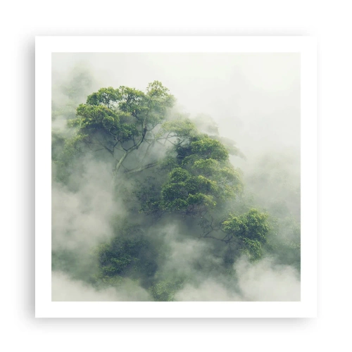 Affiche - Poster - Enveloppé de brouillard - 60x60 cm