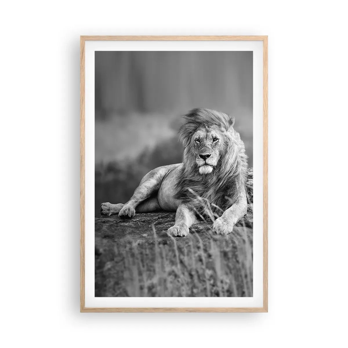 Affiche dans un chêne clair - Poster - Sieste royale - 61x91 cm