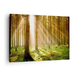 Impression sur toile - Image sur toile - Forêt de conifères avec les rayons du soleil qui brillent à travers les arbres - 70x50cm - Les elfes vont bientôt apparaître - Décoration murale moderne pour le salon et la chambre ARTTOR
