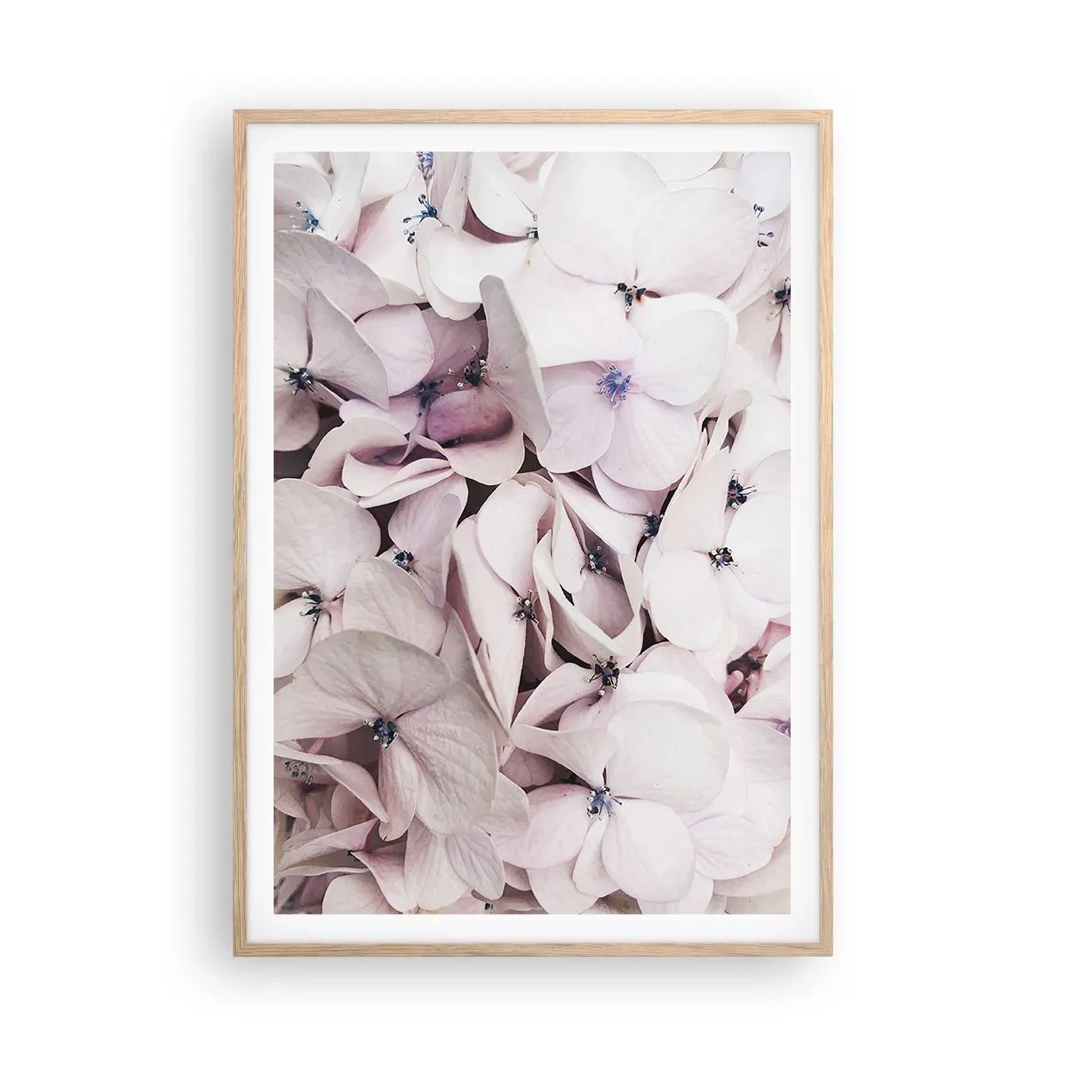 Affiche dans un chêne clair - Poster - Dans un flot de fleurs - 70x100 cm