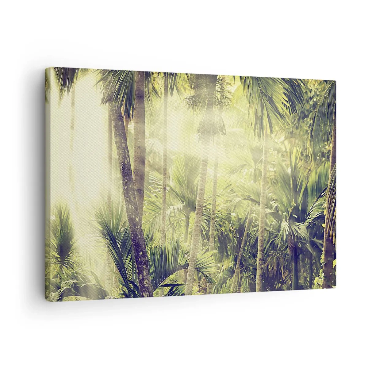 Impression sur toile - Image sur toile - Rayons de soleil dans une forêt tropicale de palmiers - 70x50cm - Nature enflammée - Décoration murale moderne pour le salon et la chambre ARTTOR