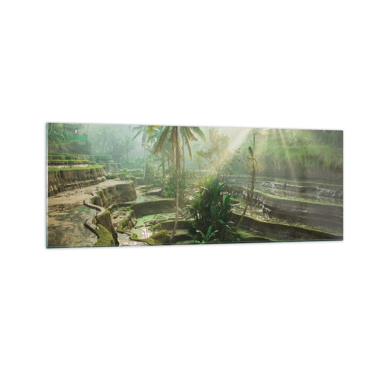 Impression sur verre - Image sur verre - Rizières en terrasses avec palmiers sous les rayons du soleil - 140x50cm - Grandir au soleil - Décoration murale moderne pour le salon et la chambre ARTTOR