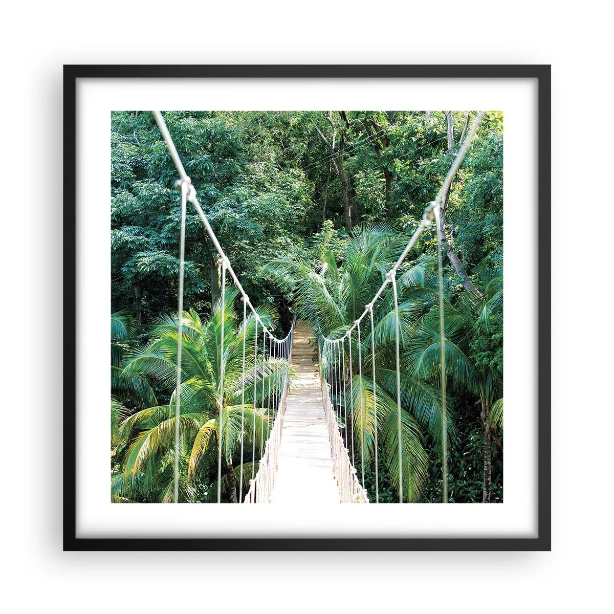 Affiche dans un cadre noir - Poster - Welcome to the jungle! - 50x50 cm