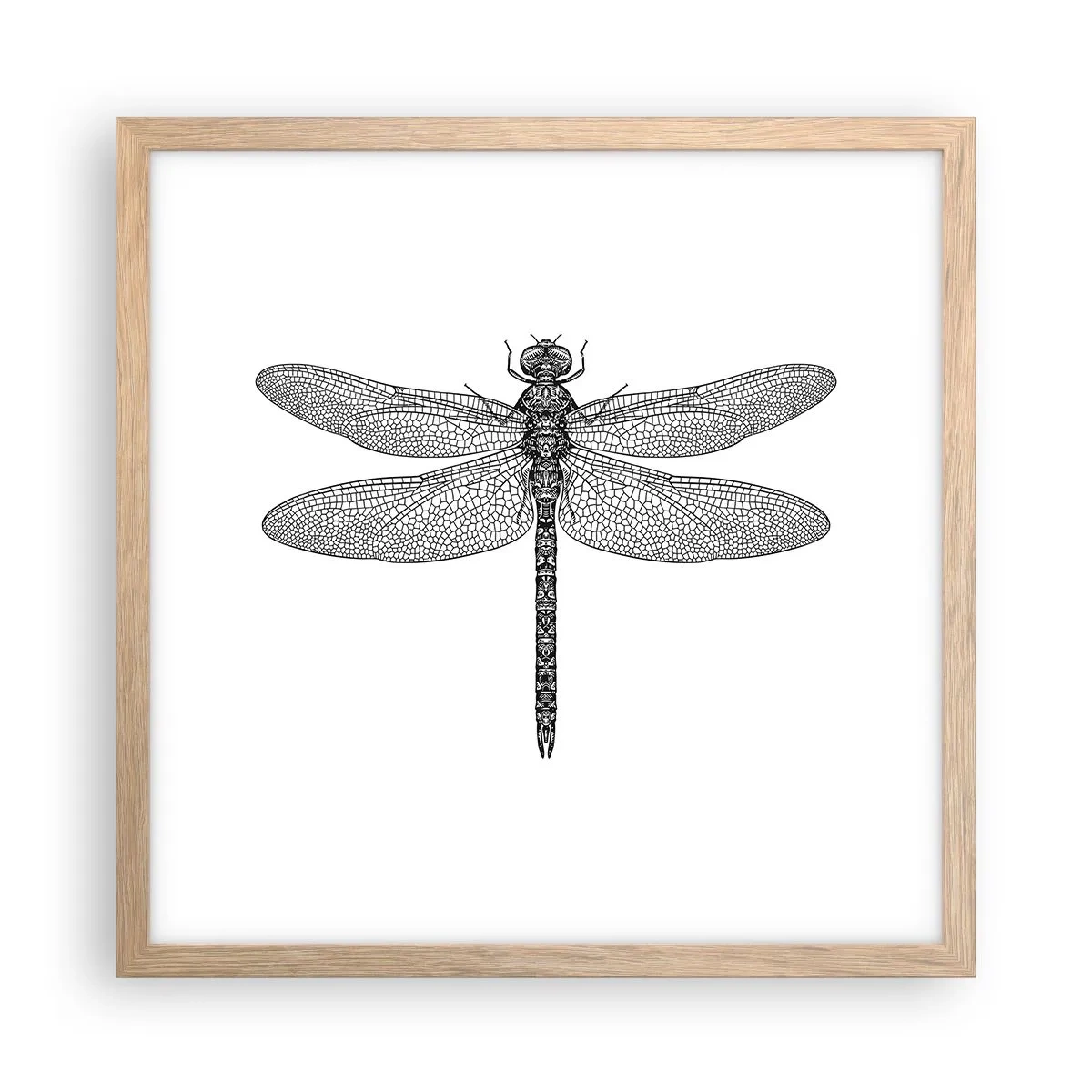 Affiche dans un chêne clair - Poster - Précision de la nature - 40x40 cm