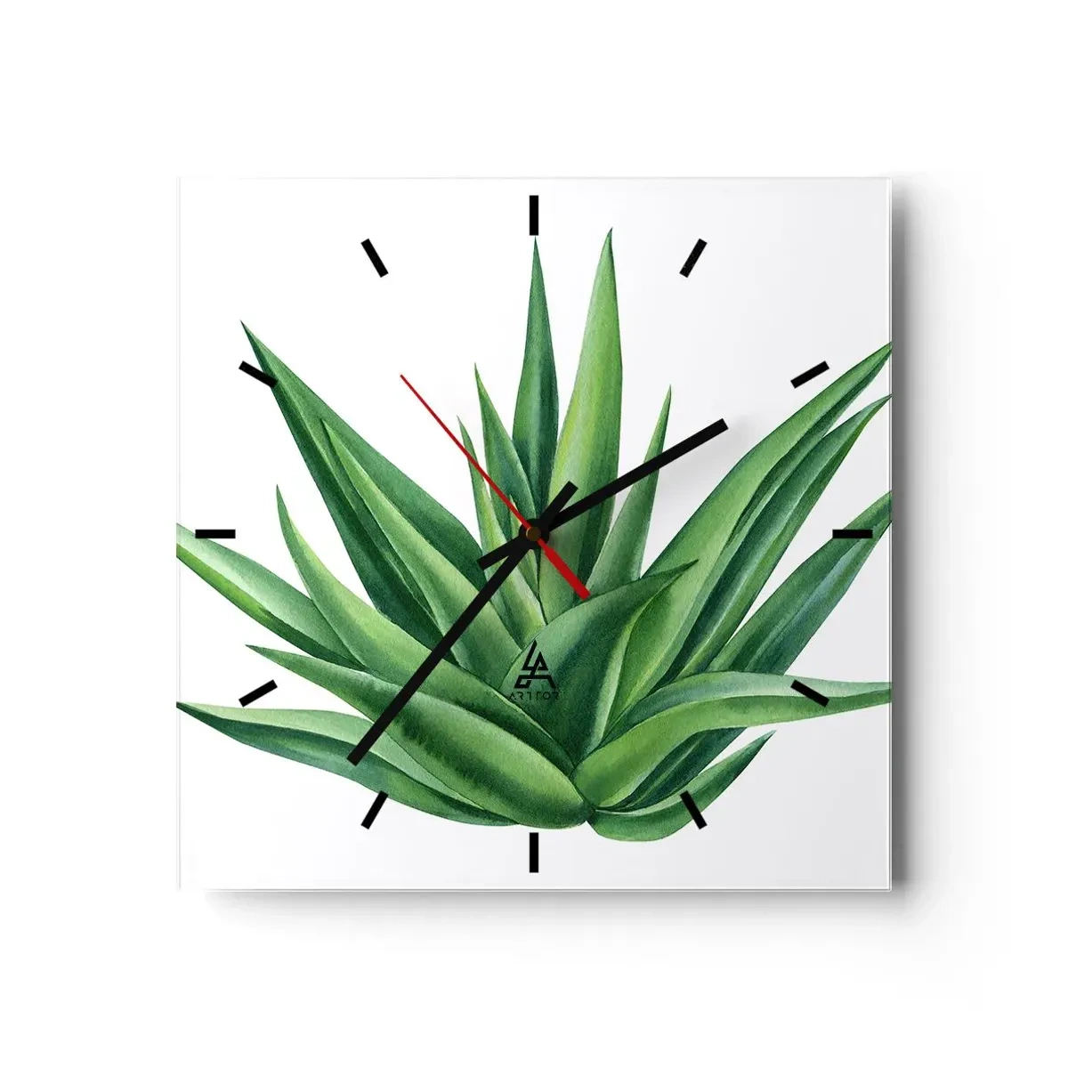 Horloge murale - Pendule murale - Une plante verte juteuse sur fond blanc - 30x30cm - Vert – force – vie - Décoration murale moderne pour le salon et la chambre ARTTOR