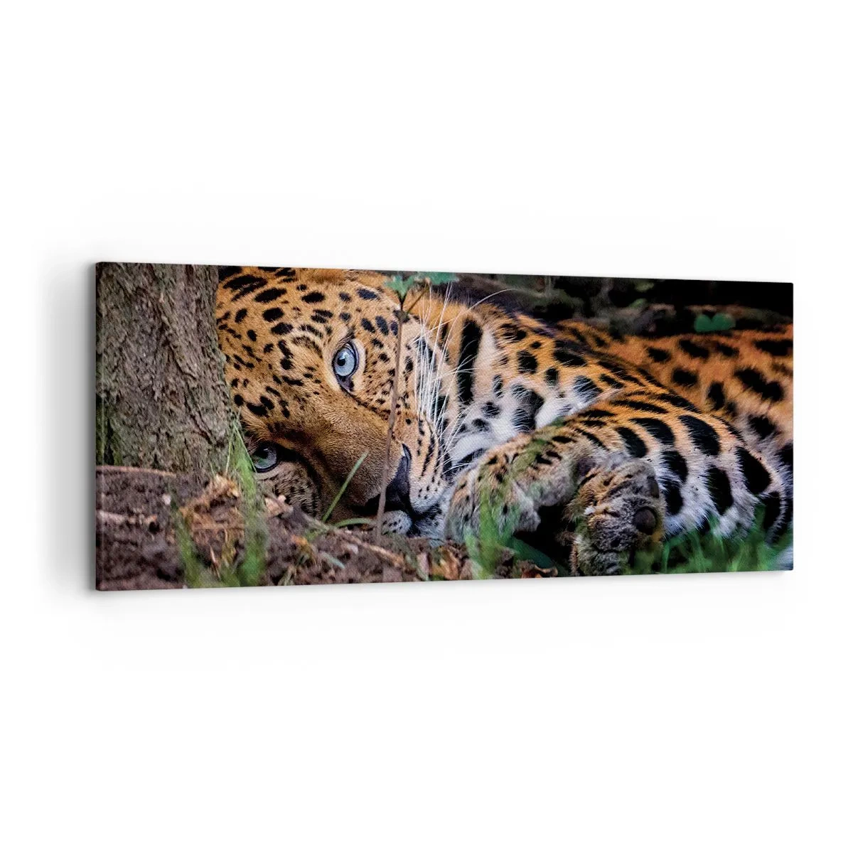 Impression sur toile - Image sur toile - Un léopard couché à l'ombre des arbres - 120x50cm - Fais-moi confiance - Décoration murale moderne pour le salon et la chambre ARTTOR