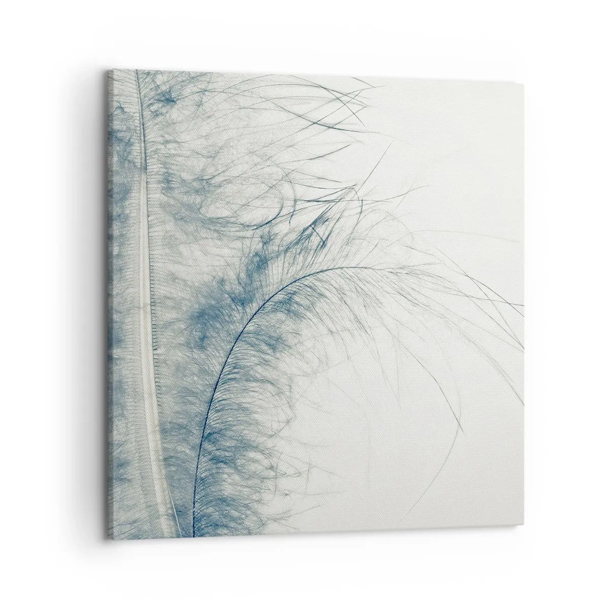 Impression sur toile - Image sur toile - Les sept natures - 50x50 cm