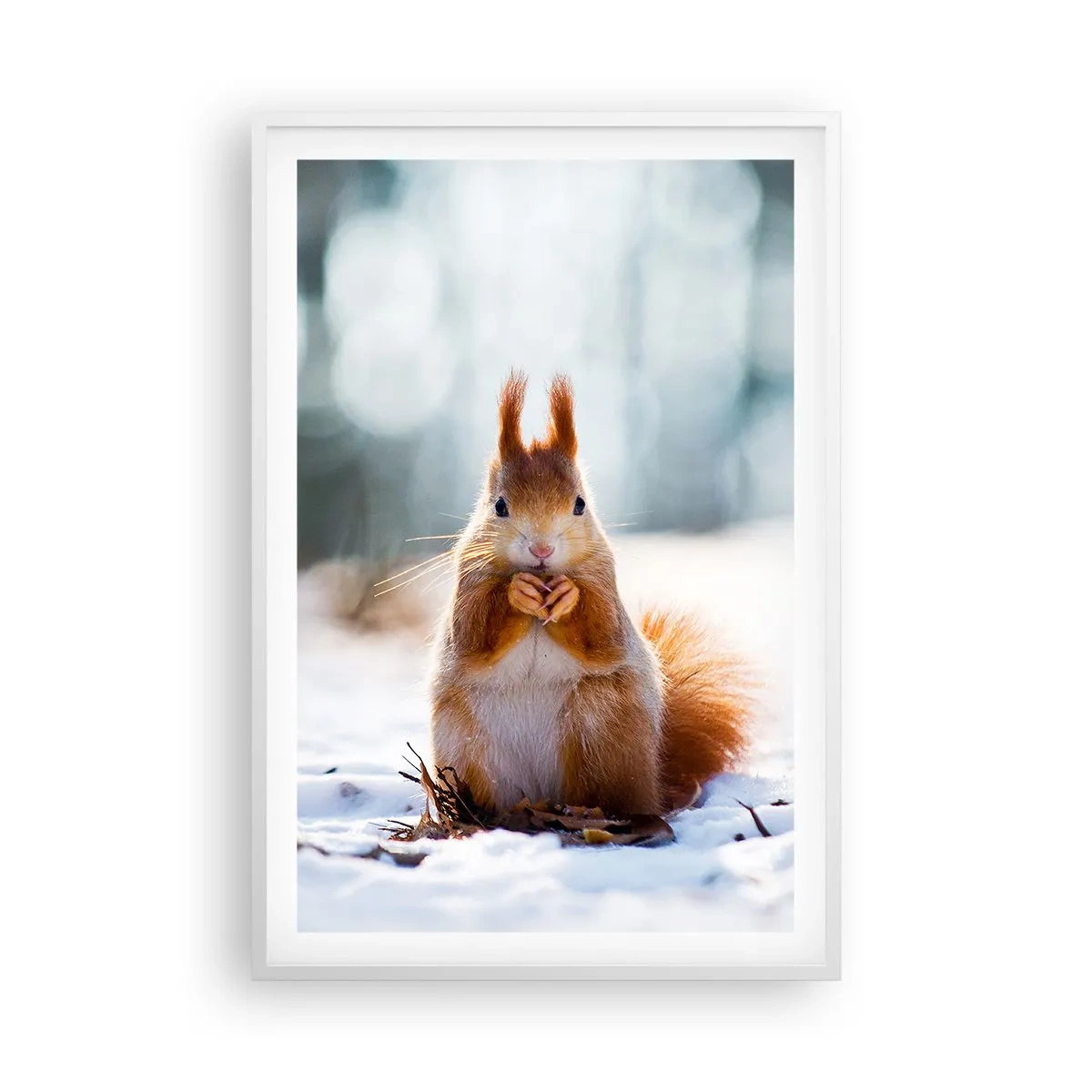 Affiche dans un cadre blanc - Poster - Qu'est ce que tu regardes comme ça? - 61x91 cm