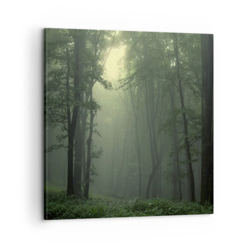 Impression sur toile - Image sur toile - Avant qu'il ne se réveille - 60x60 cm