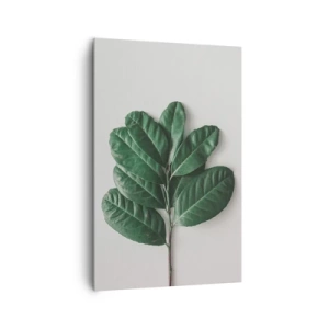 Impression sur toile - Image sur toile - Un brin de feuilles vertes sur un fond clair - 80x120cm - Dessin de la nature elle-même - Décoration murale moderne pour le salon et la chambre ARTTOR